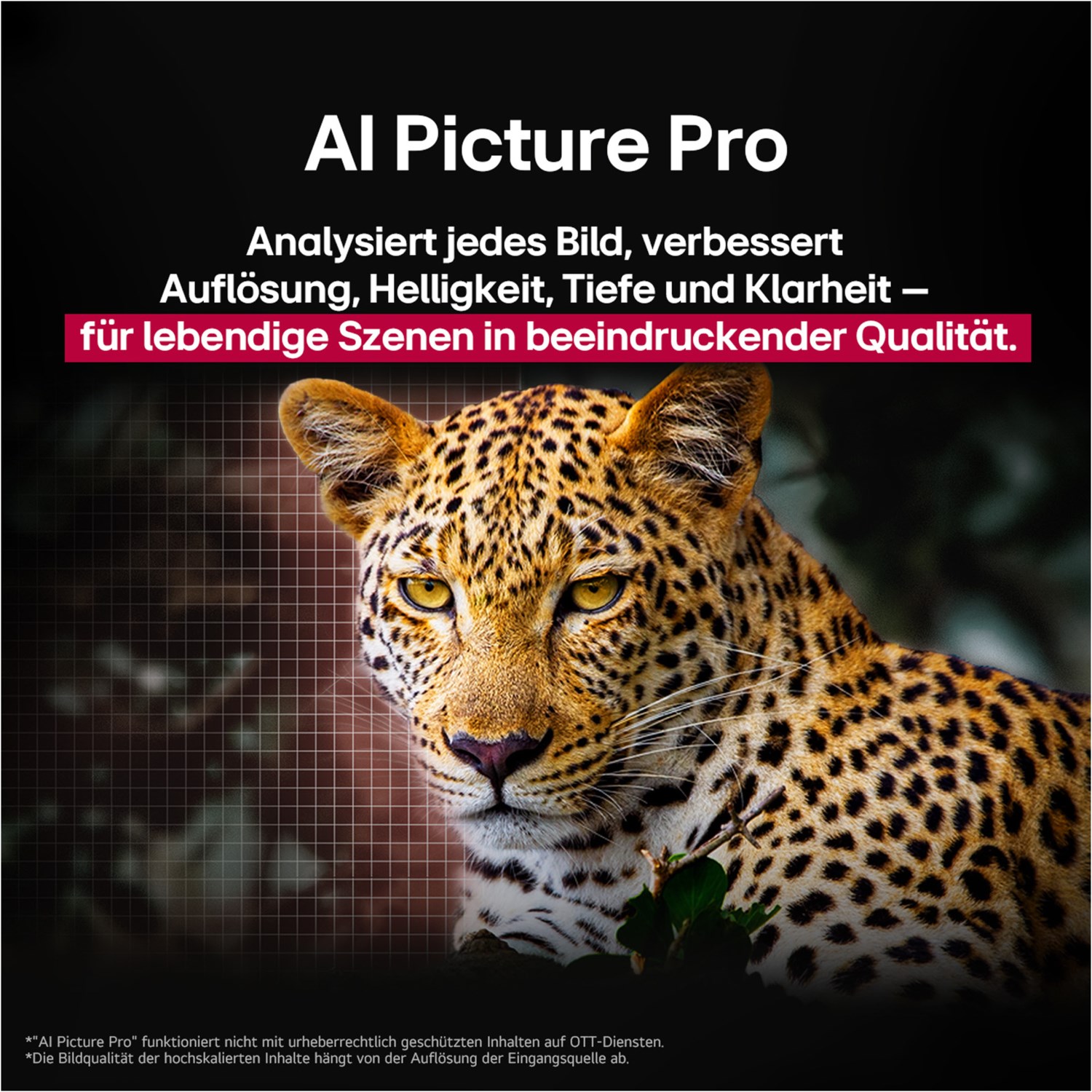 LG OLED55G59LS 139 cm (55 Zoll) OLED evo AI TV 